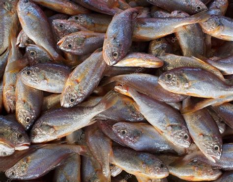 Small Edible Fish For Sale — Stock Photo © shiyali #6956212