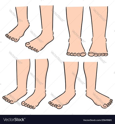 Set cartoon leg Royalty Free Vector Image - VectorStock