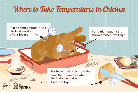 The Correct Chicken Temperature for Juicy White and Dark Meat