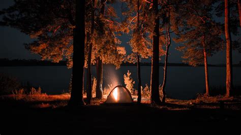 campfire, forest, nature, trees, hd, 4k HD Wallpaper