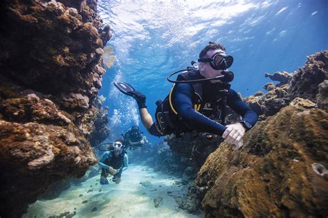 Scuba Jobs: What is a divemaster and what can they do?