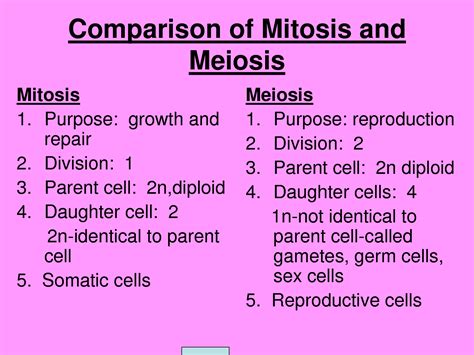 Images For > Mitosis And Meiosis Cell Cycle | Nursing school studying ...