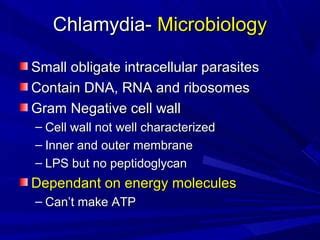 Chlamydia | PPT