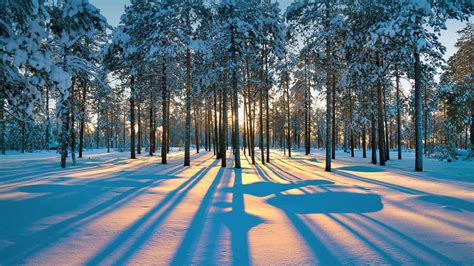 Bing HD Wallpaper Dec 21, 2021: Winter solstice - Bing Wallpaper Gallery