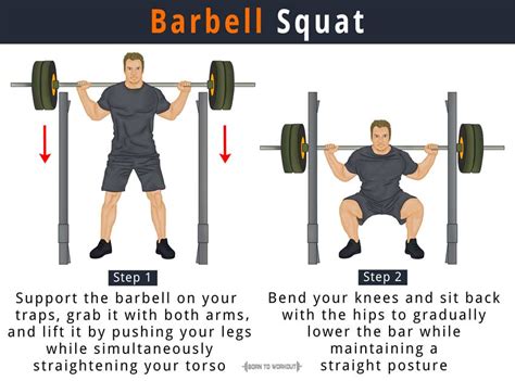 Barbell Squat: How to do, Proper Form, Variations, Benefits