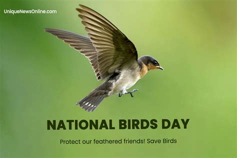 National Bird Day 2024 Theme, Slogans, Quotes, Images, Messages, Posters, Banners and Captions ...