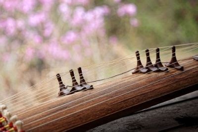 Gayageum Lessons in Minnesota & Online | MacPhail Center for Music