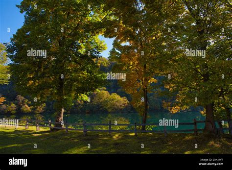 Autumn foliage and Lake Stock Photo - Alamy