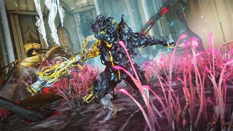 Warframe: Nidus Prime Build | Attack of the Fanboy