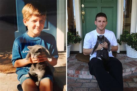 15 Amazing Before and After Pictures of Cats That Will Make Your Day