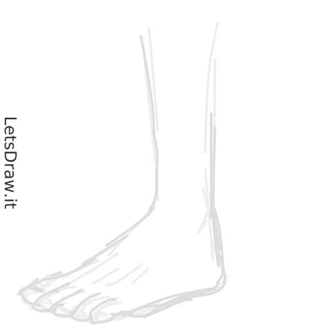 How to draw toe / wbkgcdmpf.png / LetsDrawIt