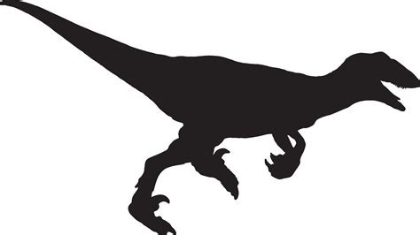 Velociraptor black silhouette isolated background 31108765 Vector Art at Vecteezy