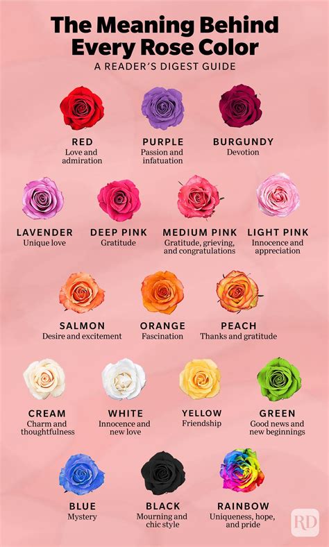 Rose Colors Meanings Chart