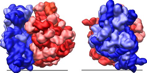 Nobel prize for Chemistry 2009 – The Structure of Ribosomes – Chemical Crystallography