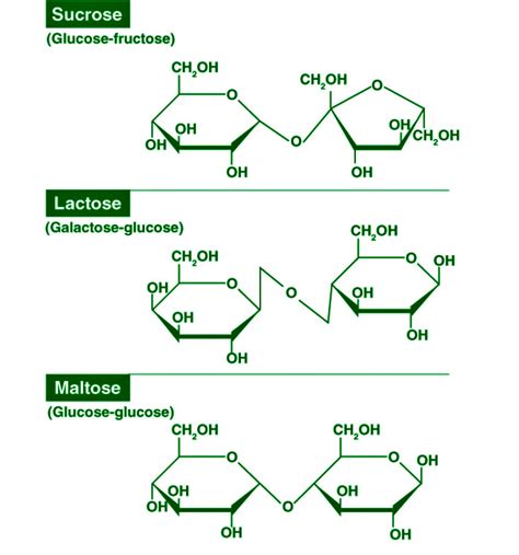 Carbohydrates - Definition, Classification, Sources, Importance - GeeksforGeeks