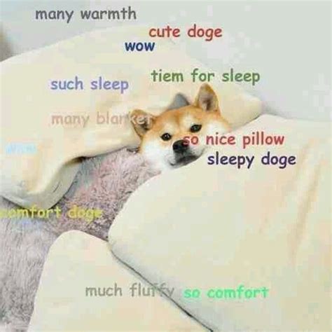 Memes #2 {finished ️} - Doge Dogs | Cute doge, Doge meme, Doge