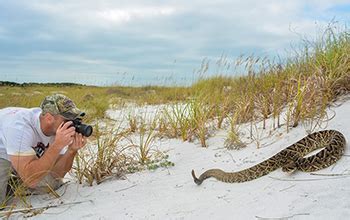 Eastern Diamondback Rattlesnake Bite