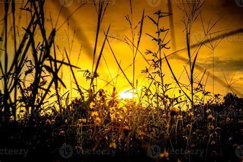 Grass in silhouette background and sunset sky 6169438 Stock Photo at Vecteezy