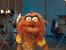 Animal Muppets GIF - Animal Muppets - Discover & Share GIFs