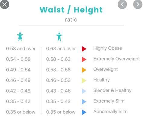 Waist to Height Ratio Calculator / WHtR Calculator - Calculator Academy