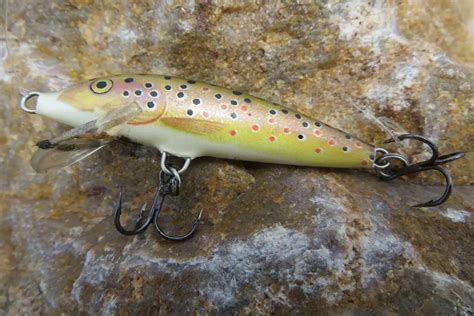 The 10 Best Trout Lures for Rivers and Streams – Tilt Fishing