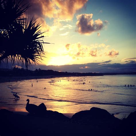 Noosa sunset | Beach sunset, Sunset, Sunrise