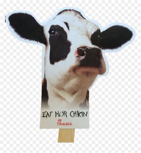 Chick Fil A Logo - Chick Fil A Cow Head, HD Png Download - vhv