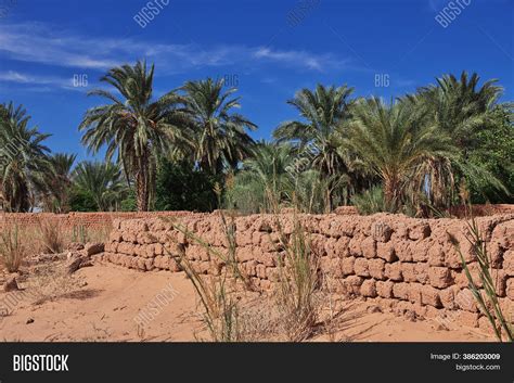 Oasis Sahara Desert Image & Photo (Free Trial) | Bigstock