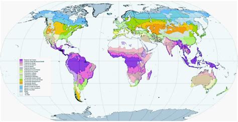 Global Biomes | Ecosystems and Biomes | A Level Geography Revision