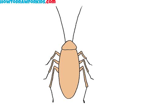 How to Draw a Cockroach - Easy Drawing Tutorial For Kids