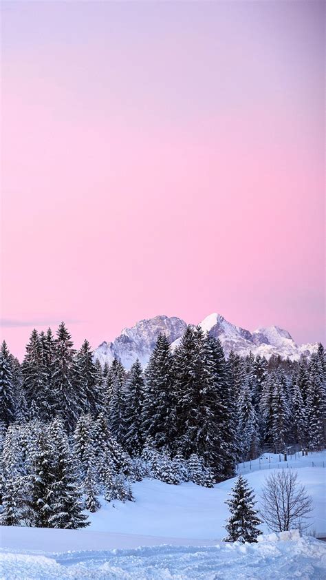 Pink Snow Wallpapers - Top Free Pink Snow Backgrounds - WallpaperAccess