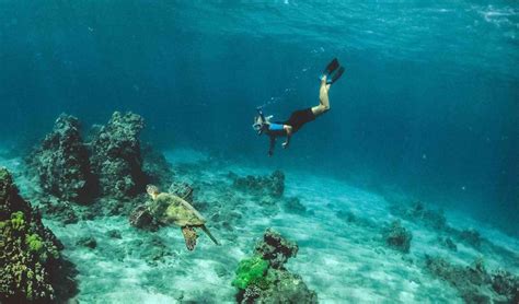 Snorkeling Roatán - ROATAN TUCAN ADVENTURES - 2023