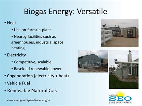 PPT - Biogas in the Energy Sector PowerPoint Presentation, free download - ID:2013822