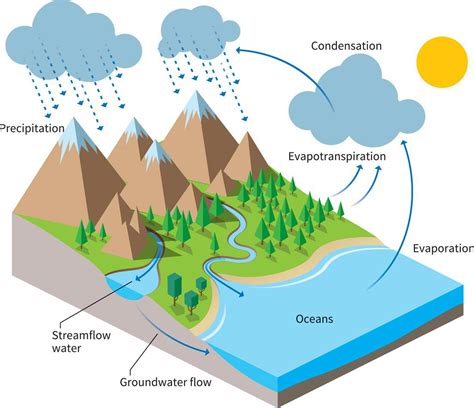 Model Of The Water Cycle Steps