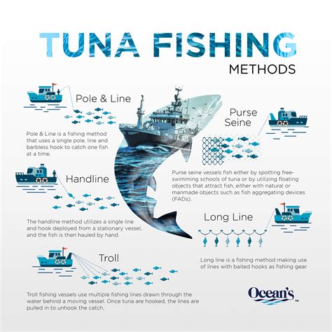 Tuna Fishing Methods | Ocean's