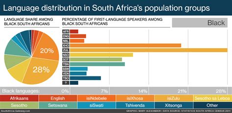 [GIF] Language Distribution in South Africa's population groups : southafrica