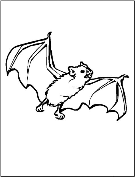 Free Printable Bat Coloring Pages For Kids