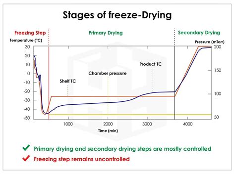 Getting to know Freeze Dry - Harn Engineering Solutions