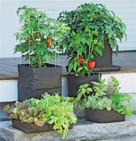 Grow Bags - Tomatoes, Peppers, Herbs and Potatoes - The Green Head