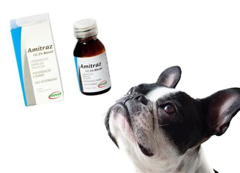 Amitraz for Dogs - Uses, Dosage and Side Effects