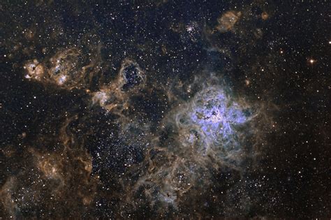 bensozia: Tarantula Nebula