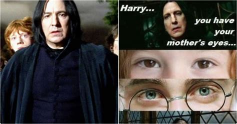 Harry Potter: 10 Memes That Prove Snape Was The Real Hero