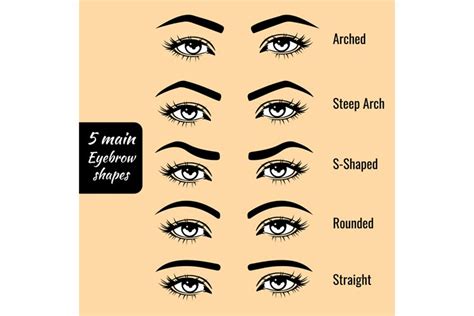 5 Eyebrow Shapes and How to Pick the Right One | Touch of Tay