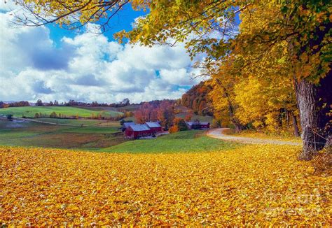 Vermont fall foliage landscape Photograph by Michael McCormack - Pixels