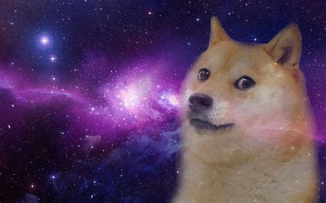 Doge Meme Wallpaper (85+ images)