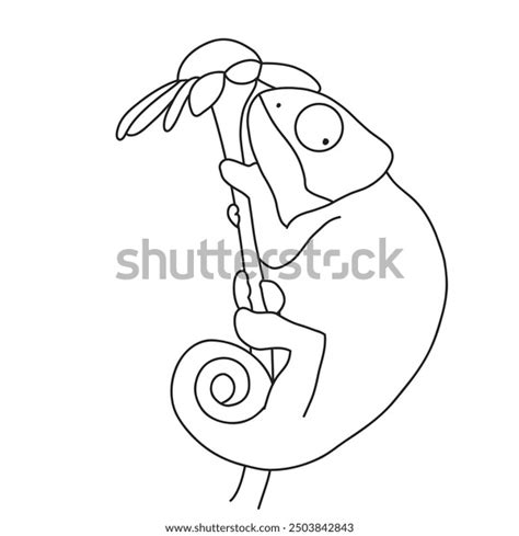 18 Chameleon Anatomy Stock Vectors and Vector Art | Shutterstock