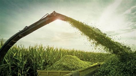 Silage » Steps for Silage Preparation » Making of Silage Process