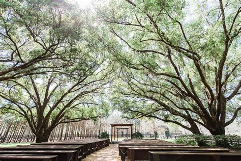 Wedding Venue with Ceremony Under Trees at Club Lake — LIGHT UP