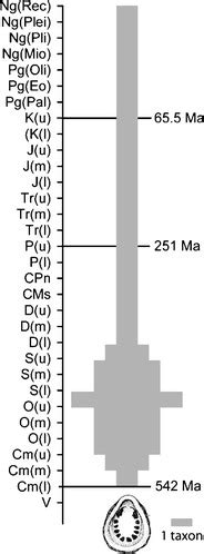 Stratigraphic occurrence and generic diversity of Monoplacophora with... | Download Scientific ...