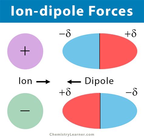 Ion-dipole Forces (Interaction): Definition and Examples